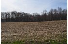 Property photo 96 - REAL ESTATE & PERSONAL PROPERTY AUCTION, 140 Acres offered in 8 Tracts or Combinations in Steuben County